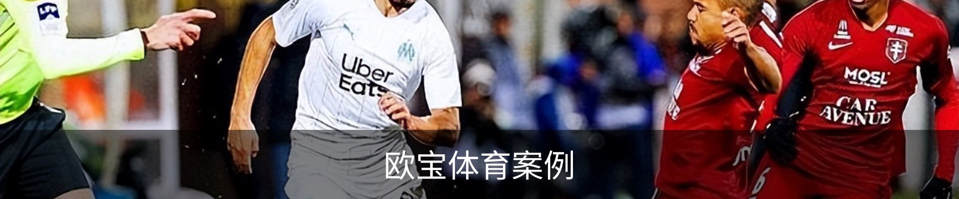 欧宝体育案例